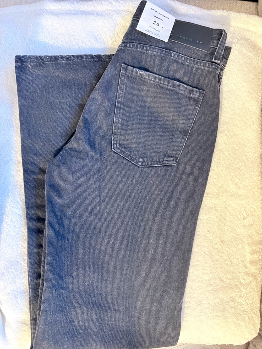 Citizens Of Humanity Wide Leg Jeans in Washed Blue